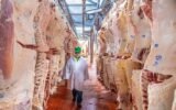 Georgian slaughterhouse meat production