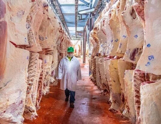 Georgian slaughterhouse meat production