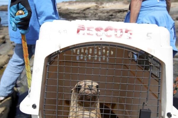 Tifton wildlife rehabilitation center