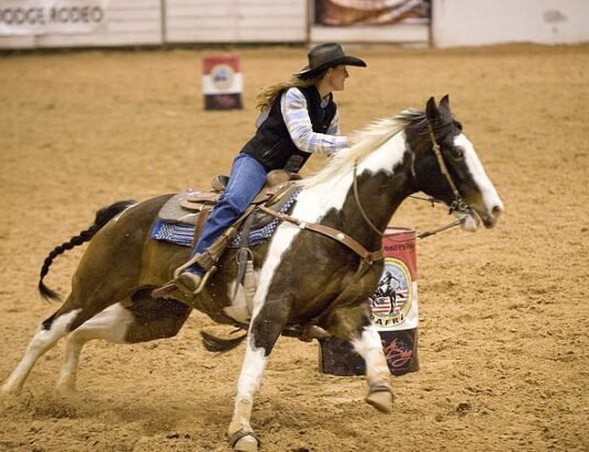 bite barrel race competition georgia
