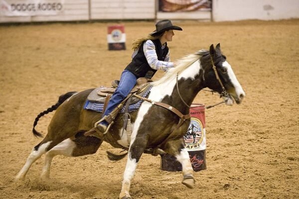 bite barrel race competition georgia