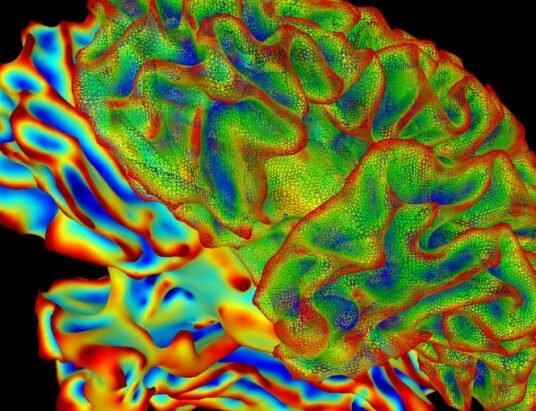brain health research