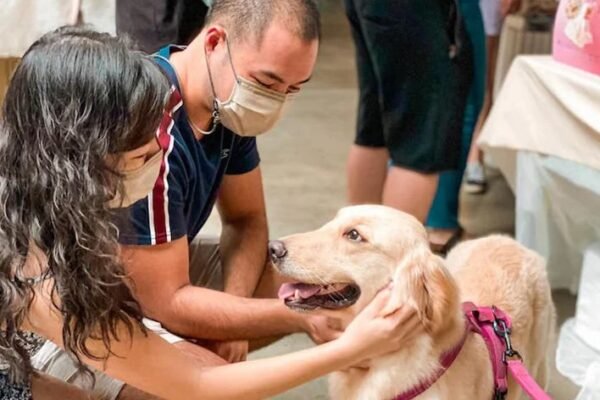 dog adoption event