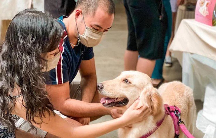 dog adoption event