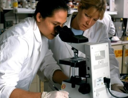immune-system-research