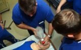 medical students training in rural clinic