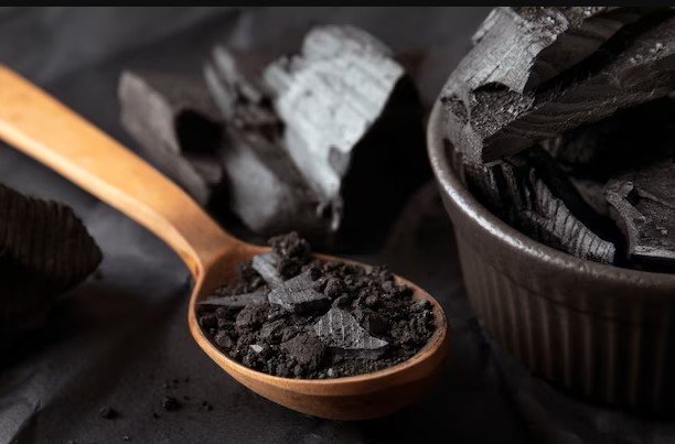 shilajit wellness supplement Himalayan vendor