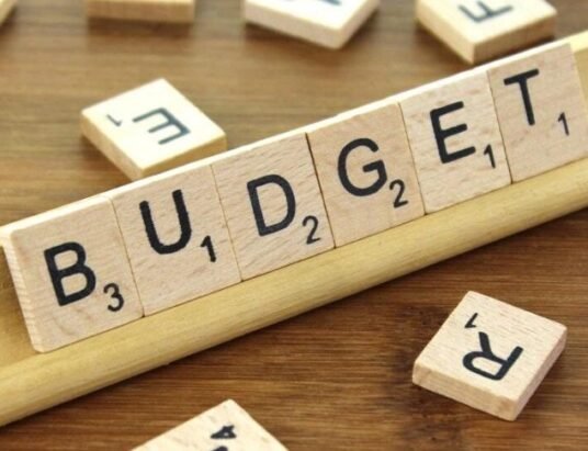 union budget 2025 tax cuts economic growth india