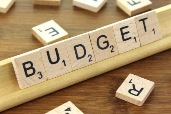 union budget 2025 tax cuts economic growth india