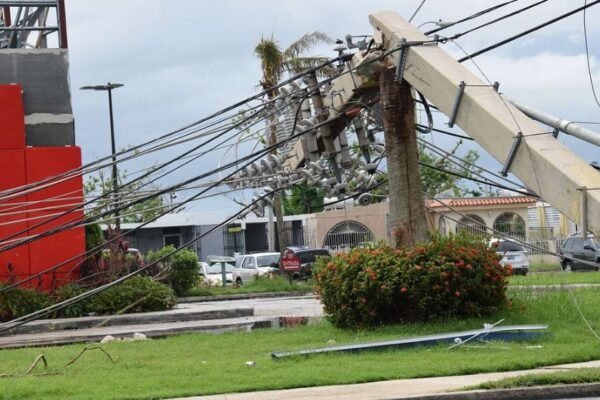 Atlanta storm damage fallen trees power lines