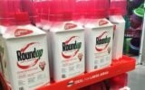 Bayer Monsanto Roundup lawsuit