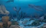 Cambrian Explosion ocean life
