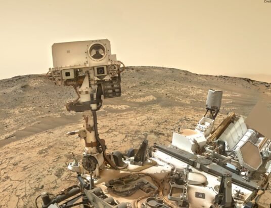 Curiosity rover Mars selfie
