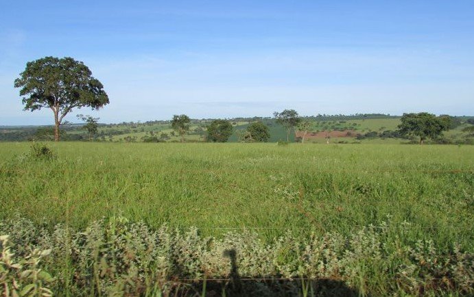 Georgia agricultural landscape