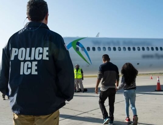 Irish Garda immigration deportation flight