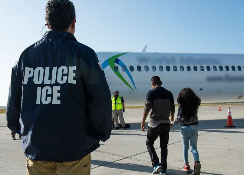 Irish Garda immigration deportation flight