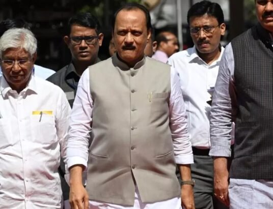 Maharashtra budget 2025