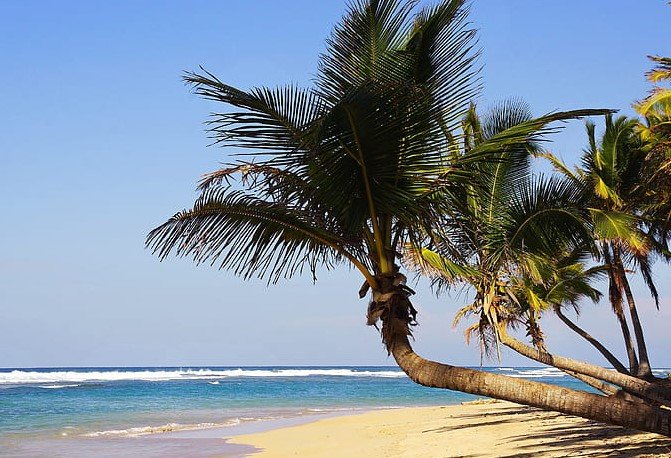 Punta Cana beach Dominican Republic missing person