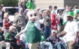Savannah St. Patrick's Day Parade