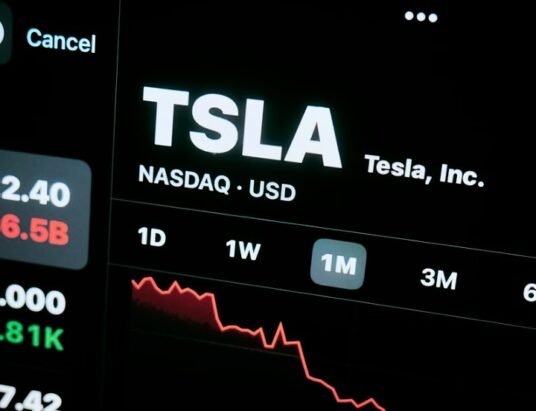Tesla stock market decline