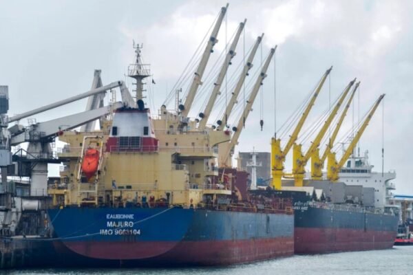 black sea grain export ships