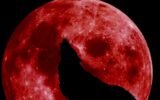 blood moon