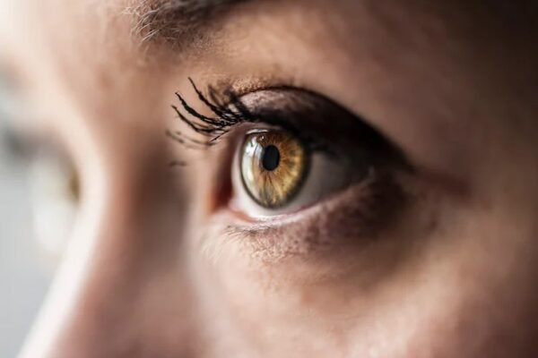 eye health