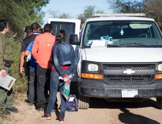 immigration arrest border patrol