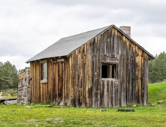 rustic log cabin in Georgia countryside