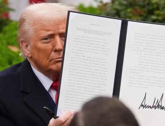 Donald Trump stock market