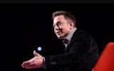 Elon Musk dire wolf Game of Thrones
