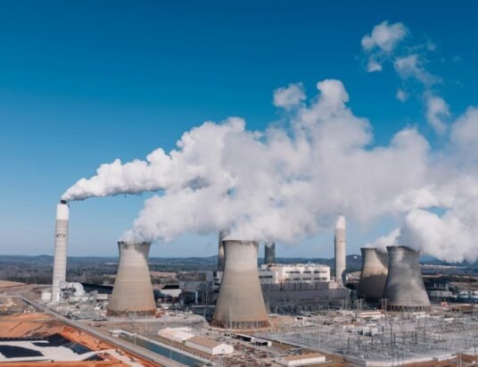 Georgia Power coal plants pollution