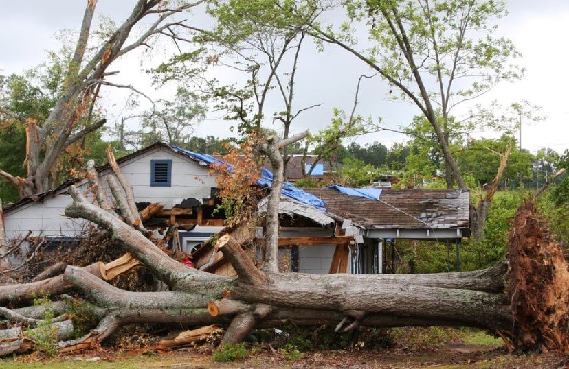 Georgia storm damage aftermath