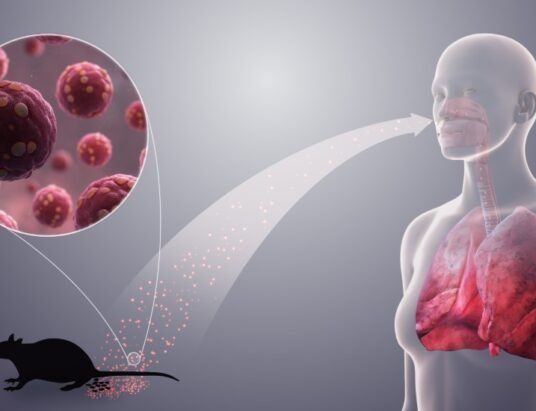 Hantavirus pulmonary syndrome rodent