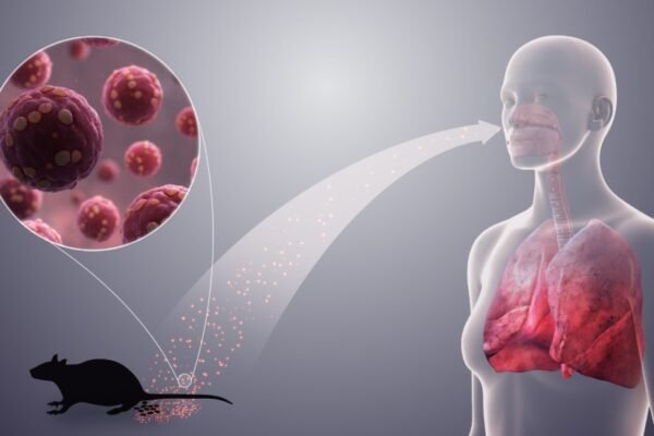 Hantavirus pulmonary syndrome rodent