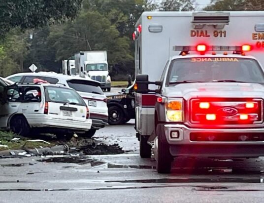 I-95 Georgia highway accident