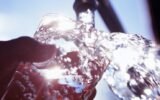 fluoride water debate georgia