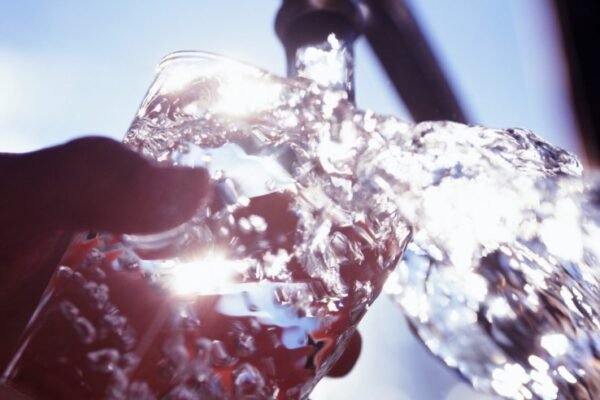 fluoride water debate georgia