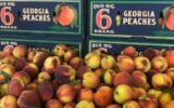 georgia peaches at dickey farms display