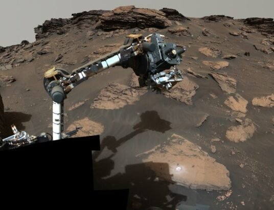 skull-shaped rock mars Perseverance rover