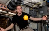 spacex astronauts microgravity