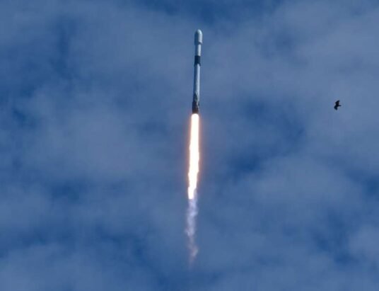 spacex falcon 9 launch starlink