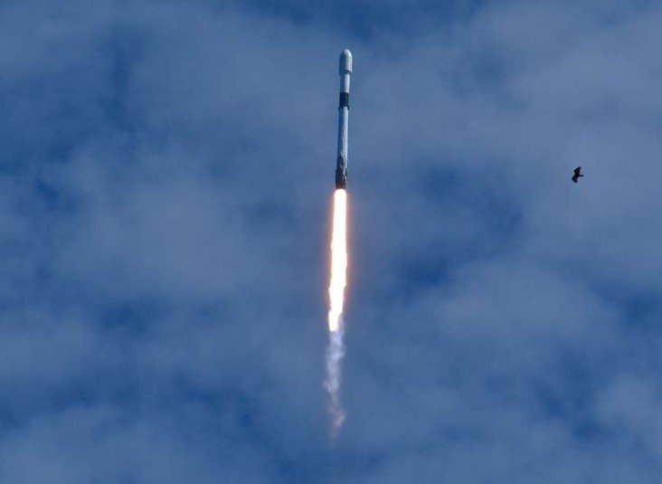 spacex falcon 9 launch starlink