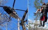 tree fall accident in Cohutta Wilderness Georgia campsite