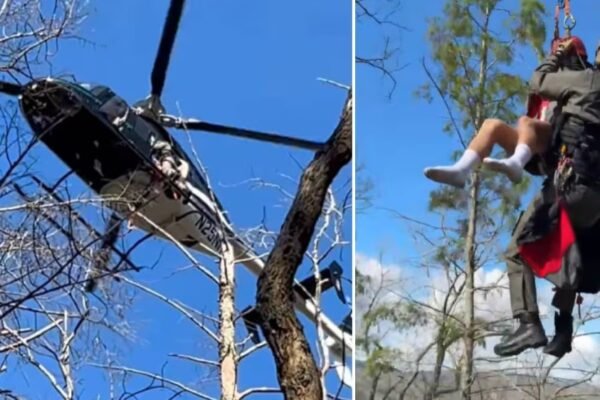 tree fall accident in Cohutta Wilderness Georgia campsite
