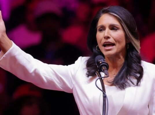 tulsi gabbard with abraham williams