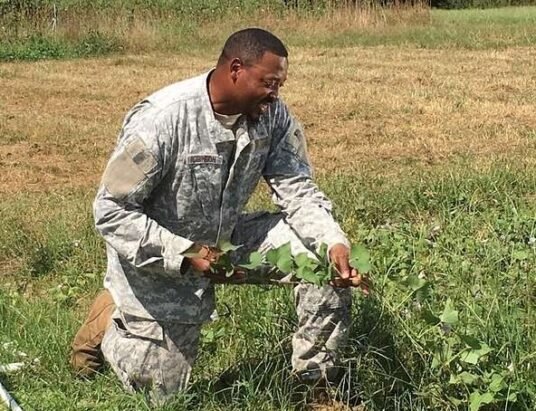 veteran farming in Georgia