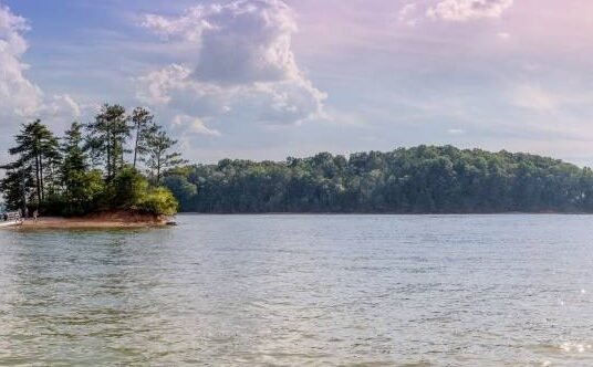 georgia-dnr-lake-lanier-safety-patrol
