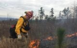 georgia wildfire forest fire