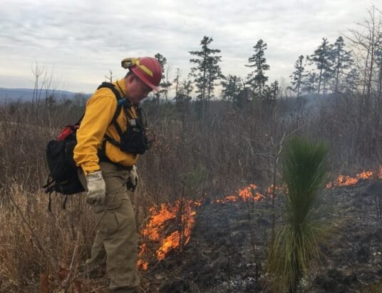 georgia wildfire forest fire